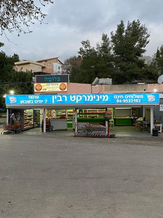 טבעון Kiryat Tivon, Close By - Oranim College + Parking מראה חיצוני תמונה